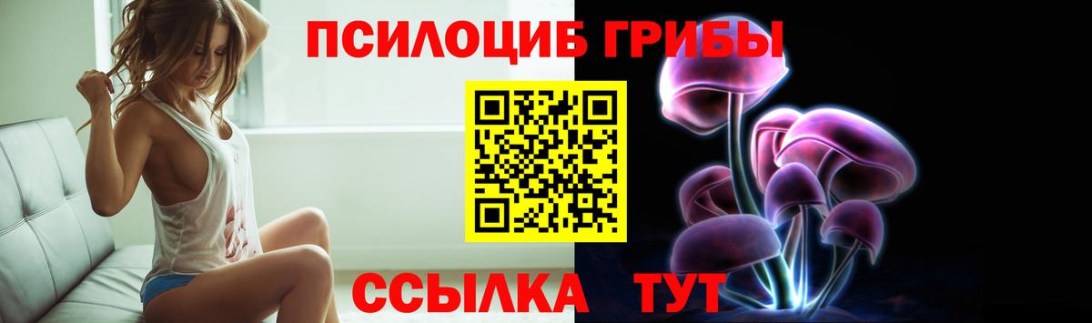 Псилоцибиновые грибы Psilocybe  Вход с VPN  Елабуга 